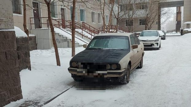 Машина с необычным окрасом привлекла внимание автоворов в Нур-Султане
