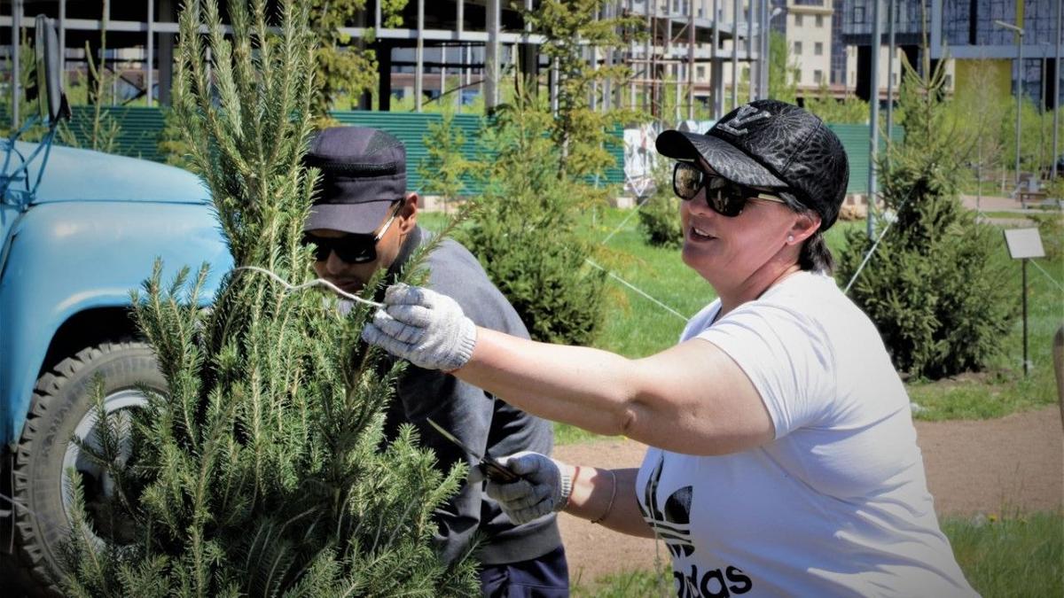 Жители Есильского района поддержали челлендж «Посади свое дерево»