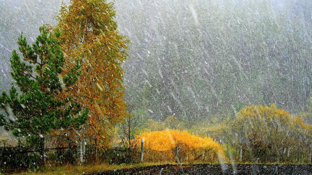Казахстан ожидает дождя и снега.