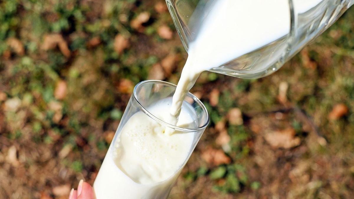 Почему цены на молоко в Казахстане вырастут