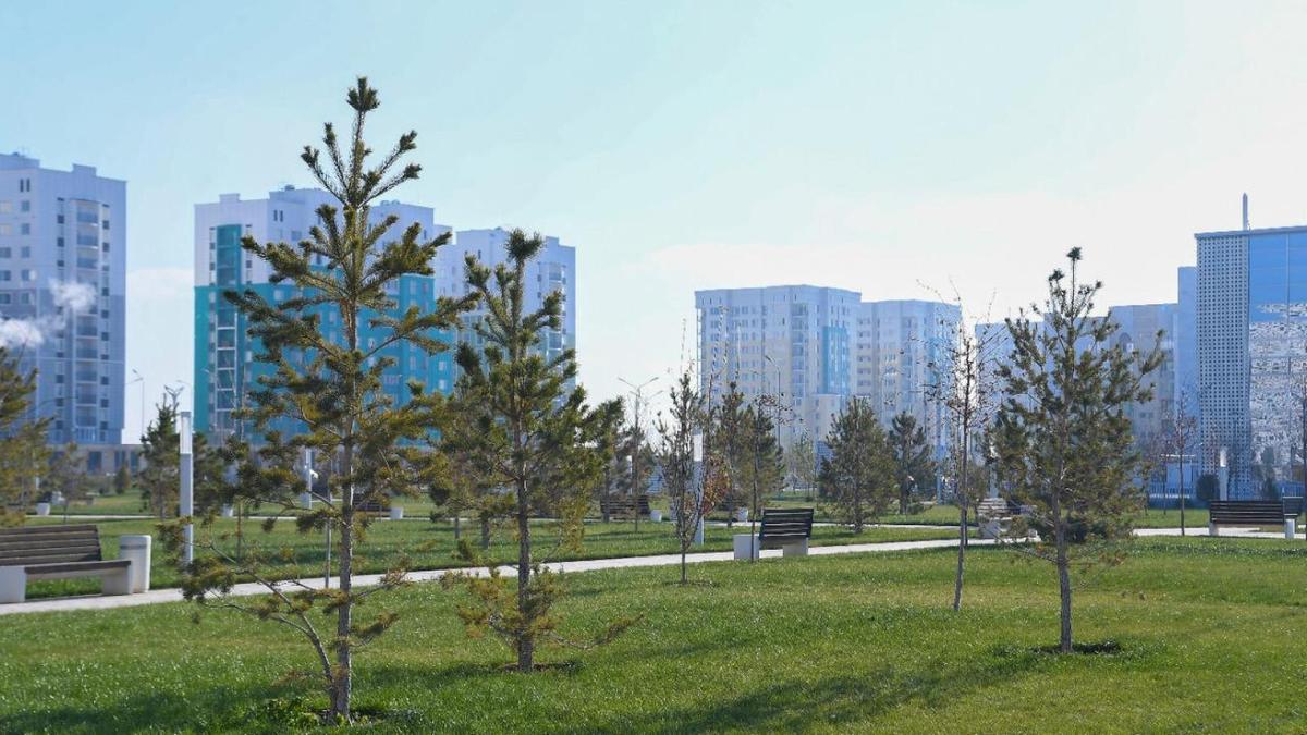В провинции Туркестан было посажено более 203 тысяч зимних деревьев.