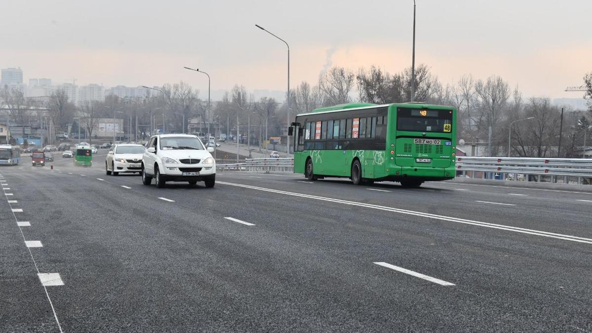В связи со строительством транспортной развязки в Алматы вырублено около 250 деревьев