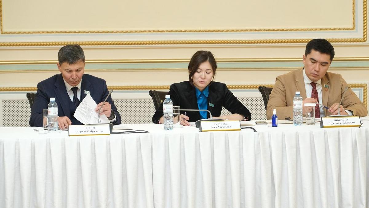 Депутаты маслихата утвердили новые правила для жителей и гостей Алматы
