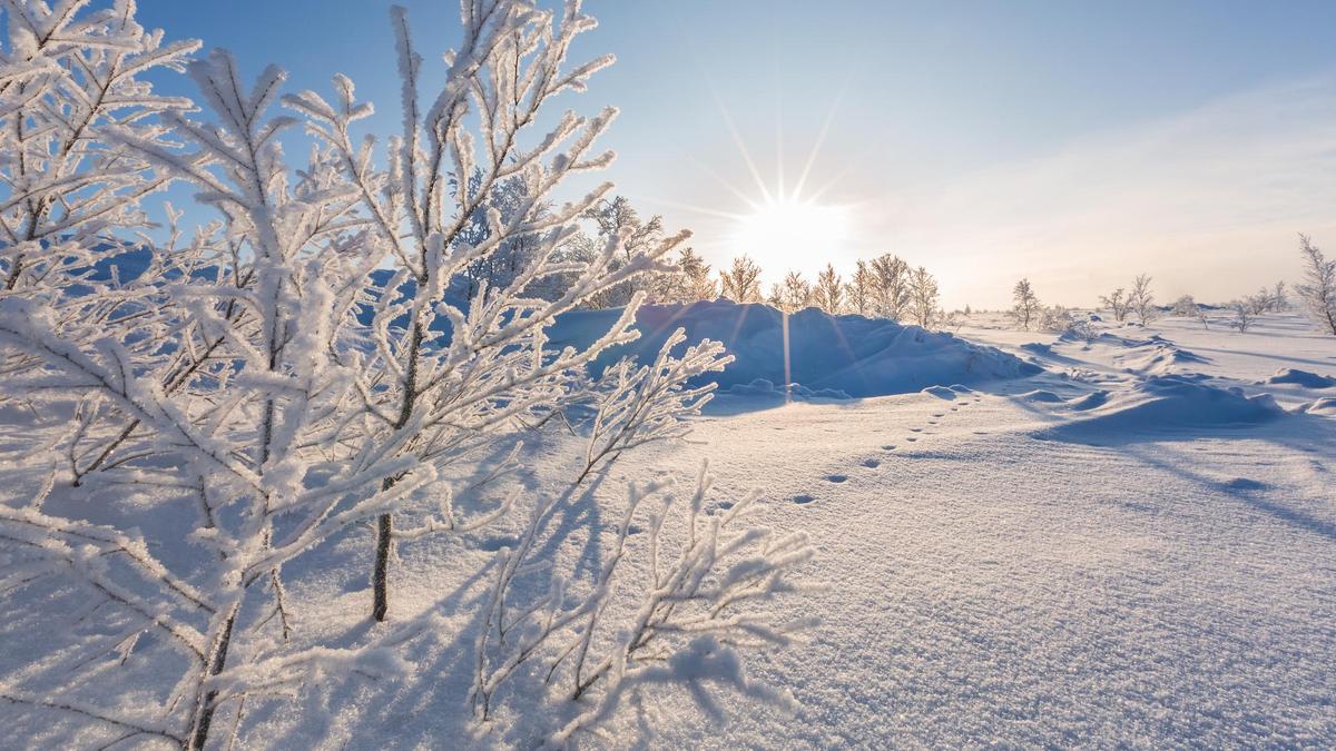 Заморозки в южных областях Казахстана ожидаются на следующий день