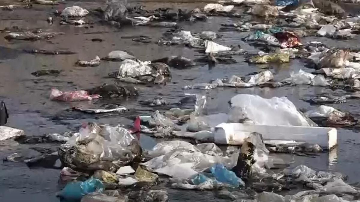 Протест против свалки медицинских отходов в Алматинской области (видео)