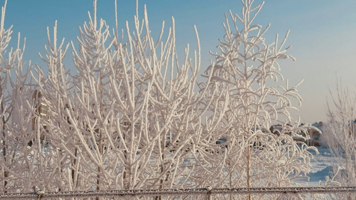 Астана под снежным покрывалом: Зимняя красота